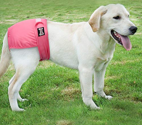 Tineer Lavable Pañales para Perros Perros Reutilizables Fisiológicos Piel fisiológica a Prueba de Fugas Pantalón para Perras (Paquete de 3) (XS)