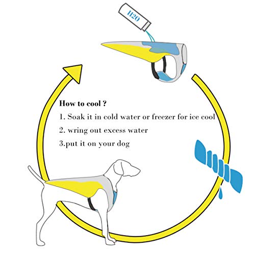 Tineer Mascotas de refrigeración del Chaleco, Chaleco Reflectante Chaleco para Perros más frío de Verano para Perros Grandes Pequeño Mediano Caminar, Subir, Deportes (XXL)