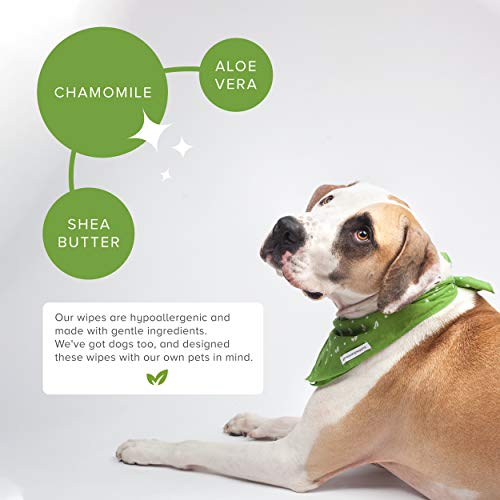 Toallitas compostables para Perros con certificación Earth