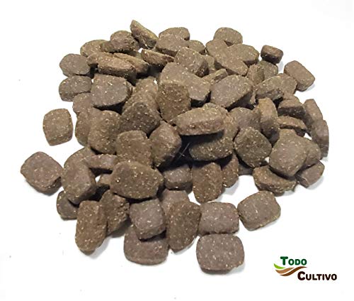 Todo Cultivo Pienso para Perros de Alto rendimientos Arion Winner 15kgs Ofrece máxima energía y Potencia a los Perros.