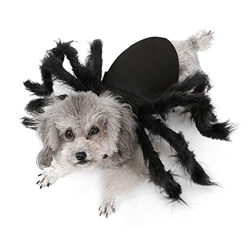 Traje de araña para mascotas, Gran araña grande Mascota Cosplay Ropa divertida Vestido Ropa de tela de fieltro para mascotas Fiesta de Navidad de Navidad Decoración de ropa de rendimiento, Negro