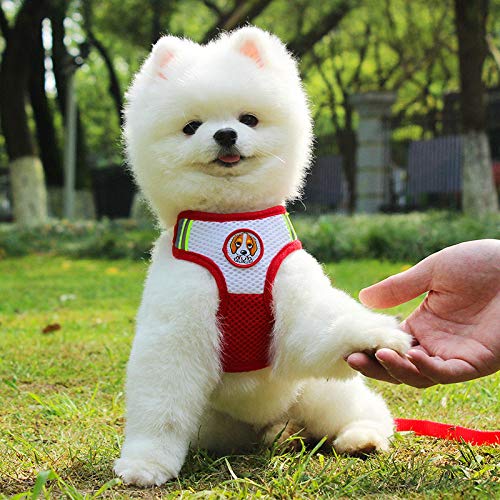 transfronteriza Perros y Gatos Cuerda de tracción Transpirable Correas de Pecho Reflectantes para Mascotas Correas de Pecho para Cachorros Spot al por Mayor-mi_L