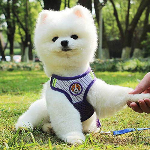 transfronteriza Perros y Gatos Cuerda de tracción Transpirable Correas de Pecho Reflectantes para Mascotas Correas de Pecho para Cachorros Spot al por Mayor-mi_L