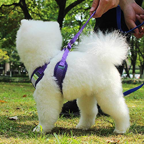 transfronteriza Perros y Gatos Cuerda de tracción Transpirable Correas de Pecho Reflectantes para Mascotas Correas de Pecho para Cachorros Spot al por Mayor-mi_L