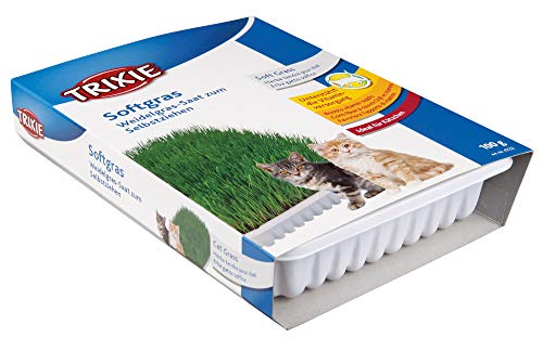 Trixie Bandeja Bio Hierba para Gatos, Aprox.100 g