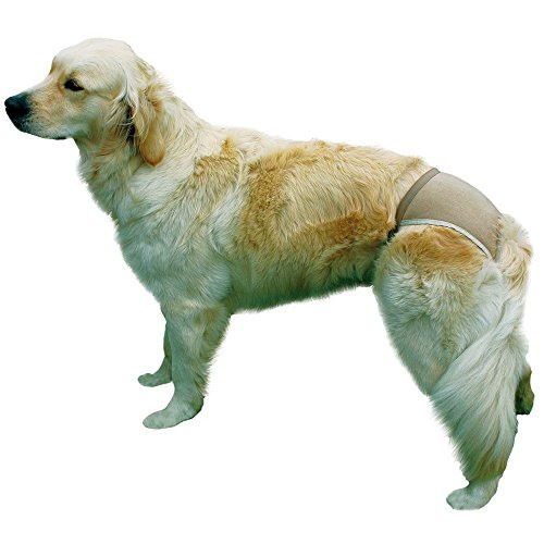 Trixie Braguitas Perros, S-M, 32-39 cm, Beige