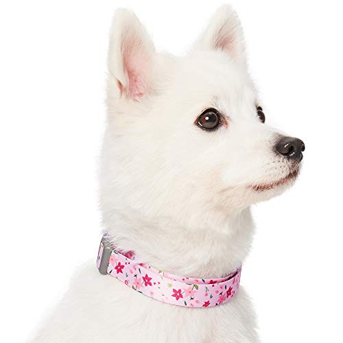 UMI. Essential Made Well - Collar para Perros con Estampado de Flores S, Cuello 30-40 cm, Collares Ajustables para Perros (Rosa)