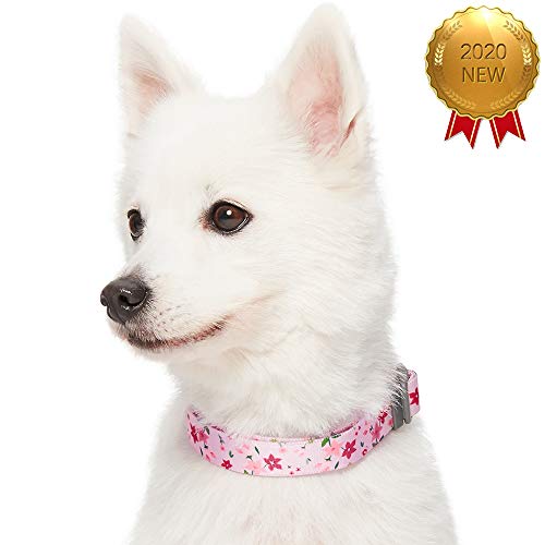 UMI. Essential Made Well - Collar para Perros con Estampado de Flores S, Cuello 30-40 cm, Collares Ajustables para Perros (Rosa)