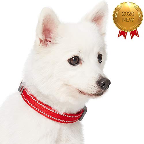 UMI. Essential Pastel - Collar para Perros L, Cuello 45-66 cm, Collares Ajustables para Perros (Rojo Amapola)