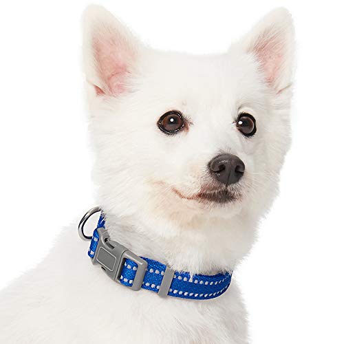 UMI. Essential Pastel - Collar para Perros M, Cuello 37-50 cm, Collares Ajustables para Perros (Azul Marino)