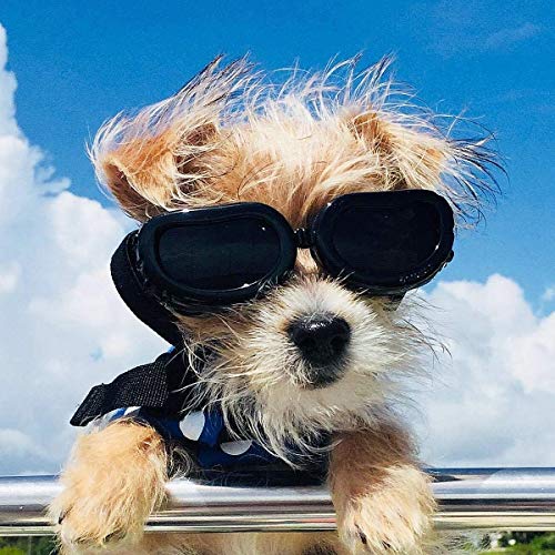 UNIIKE Gafas de Sol Gafas de pequeñas Mascotas Doggles para Gatos Perros pequeños