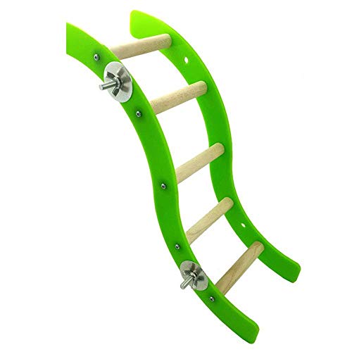 Uteruik - Escalera de Juguete para pájaros para Loros, periquitos, Perchas, pinzones de pájaros, Canarios, cacatúas, cacatúas africanas Grises, Jaula de ecléctus, Accesorios de Soporte