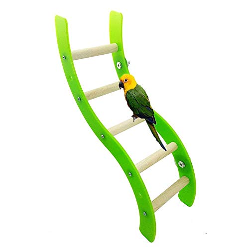 Uteruik - Escalera de Juguete para pájaros para Loros, periquitos, Perchas, pinzones de pájaros, Canarios, cacatúas, cacatúas africanas Grises, Jaula de ecléctus, Accesorios de Soporte