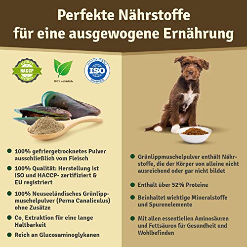 Veddelholzer - Polvo de mejillón verde natural para perros, 500 g, para apoyar las funciones de las articulaciones, extracto de labio verde con alta aceptación en todos los perros