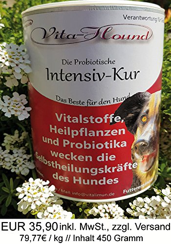 'Vita Hound Intensivo Kur para el perro despierta la increíble Fuerza del immunsystems "