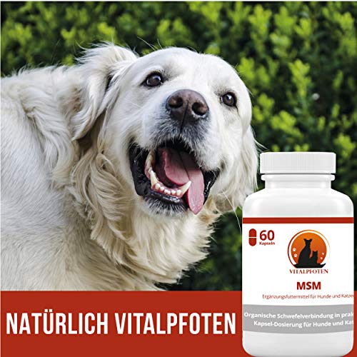 Vitalpfoten MSM Cápsulas para Perros y Gatos 60 Pieza complemento Forro Medio Pures MSM - Suave dosificación, Alta pureza y Calidad, fabricación en Alemania