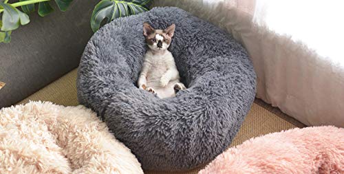 Vivi Bear Cama de Perro Cama de Gato Extra Suave Cómodo Lindo,Cojín de Gato Lavable de la Cama,Lecho Ovalado de Cueva de anidación Adecuado para Gatos y Perros pequeños y medianos(60 cm de diámetro)