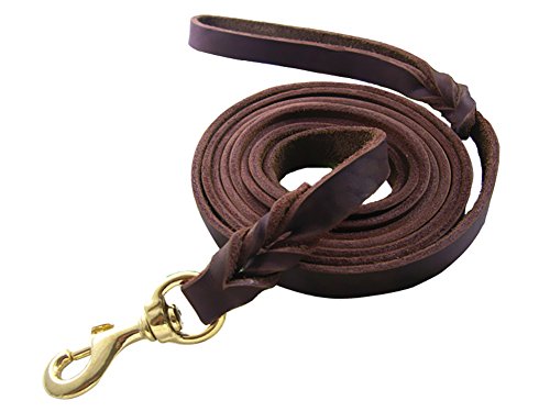 VIVI Oso Cuero Trenzado Correas para Perros para Grande/Mediano Perros Canine K9 Comportamiento formación Correa Cuerda 0,5 cm de Ancho por 8,5/6,9/5,2/4 ft Largo marrón Oscuro