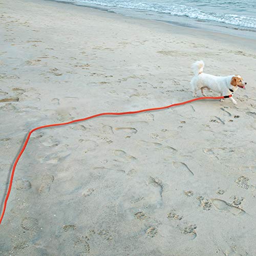 Vivifyin Dog Check Cord, 6 m flotante, cuerda larga de entrenamiento para perros con asa para playa, lago (naranja)