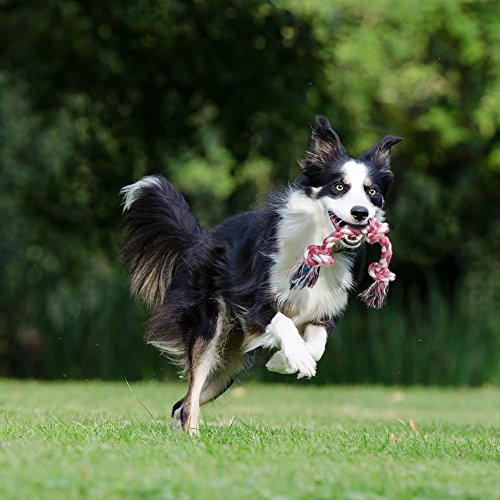 Vivifying mascota masticar juguete de cuerda, durable cuerda de algodón trenzado juguete para mascotas perro gato cachorro Dientes de limpieza