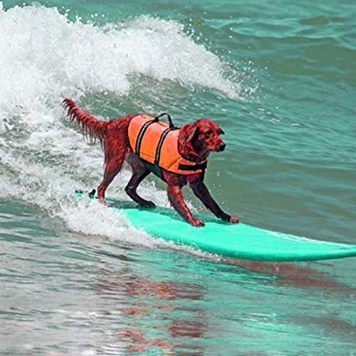 Warmiehomy Chaleco Salvavidas para Perro con Flotador Delantero, Perros Seguridad Natación Ropa con Quick Release Ajuste Fácil Cinturón Ajustable (Naranja)