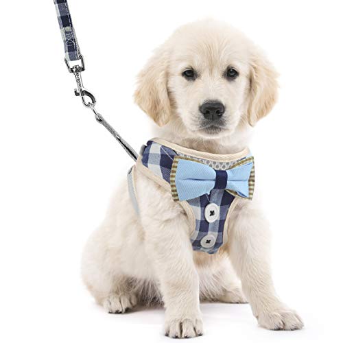 WBYJ Pet Vest Traction Rope,Pet Vest Harness, Soft Breathable Air Mesh Adjustable Pet Harness and Lead Sets Easy Control for Outdoor Walking for 1.5-7.5KG Pet (L)