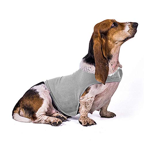 WESDOO Abrigo Perro Trajes Perro Perro calmante Productos Ansiedad Abrigo de Perro Camisas médicas para Perros Chaqueta antiansiedad para Perro Light-Gray,S