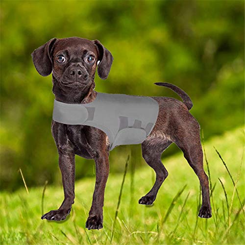 WESDOO Abrigo Perro Trajes Perro Perro calmante Productos Ansiedad Abrigo de Perro Camisas médicas para Perros Chaqueta antiansiedad para Perro Light-Gray,S