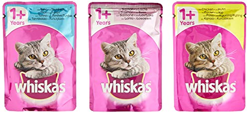 Whiskas 1+ Comida para gatos mojados para adultos gatos de aves de corral selección en Jelly, 84 x 100 g