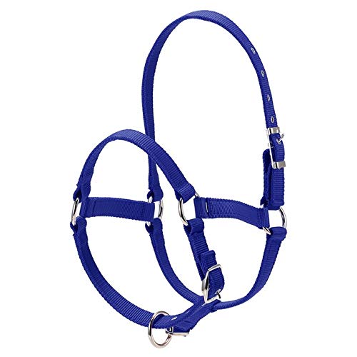 without brand LSB-CHUNJIE3, Collar 1pc 6mm Hípica Ecuestre Espesado Ajustable Cabeza de Caballo Cabestro ronzal Seguridad Brida Horse Riding Equipment (Color : Blue S)