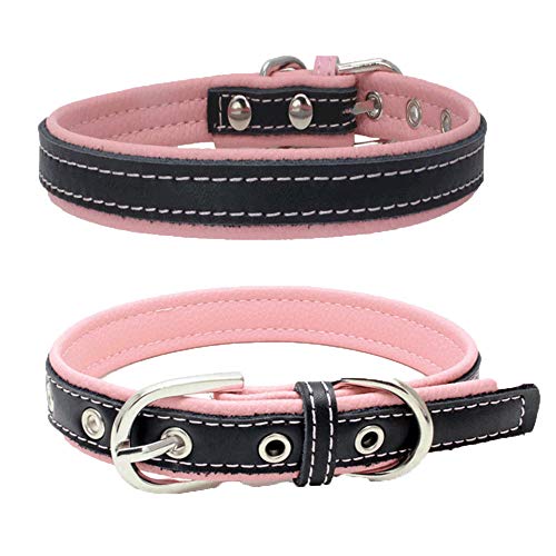 Wuwei Correas Perro Collar Perro Cuero Cuero con Hebilla Ajustable 1Pc, Regalo para Tu Perro(Mi L)