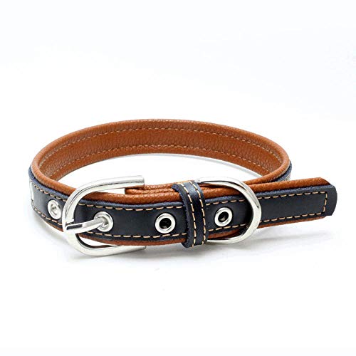 Wuwei Correas Perro Collar Perro Cuero Cuero con Hebilla Ajustable 1Pc, Regalo para Tu Perro(Mi L)