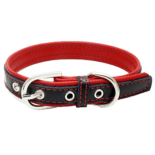 Wuwei Correas Perro Collar Perro Cuero Cuero con Hebilla Ajustable 1Pc, Regalo para Tu Perro(Mi L)