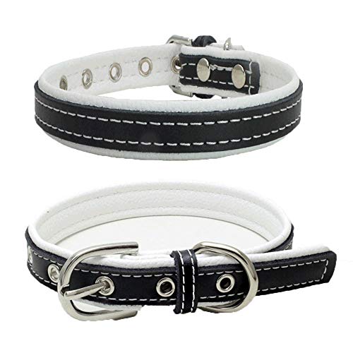 Wuwei Correas Perro Collar Perro Cuero Cuero con Hebilla Ajustable 1Pc, Regalo para Tu Perro(Mi S)