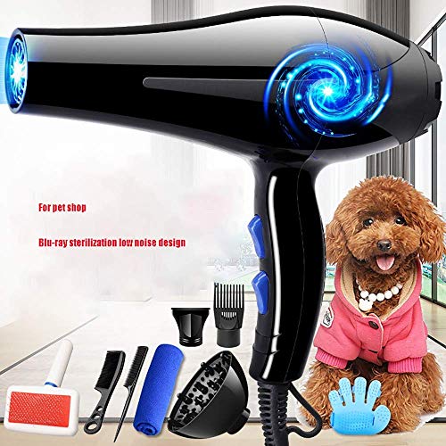 WYJW Secador para Perros, secador de Pelo para Mascotas, secador de Viento Profesional súper Potente, luz Azul, esterilización por Iones Negativos, secador de Aseo, secador de Pelo para