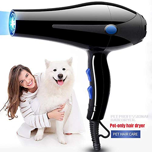 WYJW Secador para Perros, secador de Pelo para Mascotas, secador de Viento Profesional súper Potente, luz Azul, esterilización por Iones Negativos, secador de Aseo, secador de Pelo para