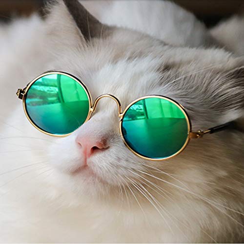 Xrten Gafas de Sol para Mascotas Perro Gato