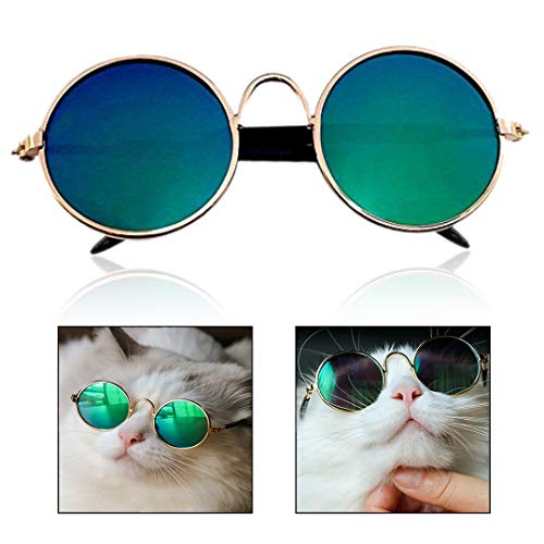 Xrten Gafas de Sol para Mascotas Perro Gato