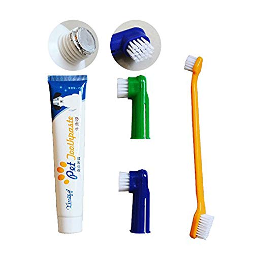 Xrten Set Higiene Dental para Perros, Cepillo de Dientes y Pasta de Dientes para Perros