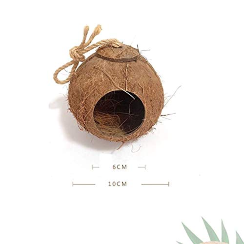 XYSQWZ Pajarera para pájaros Jaula para periquitos cáscara de Coco Jaula para pájaros decoración Natural para jardín al Aire Libre decoración Creativa y cálida para Casas pequeñas Jaula para pájaros