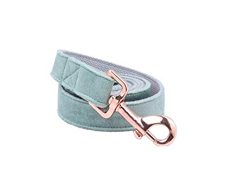 YANODA Collares De Perro Ajustables del Terciopelo Azul del Diseñador De La Navidad De Las Patas del Estilo Único Y Hebilla del Oro del Correo Correas (Color : Collar, Size : S)