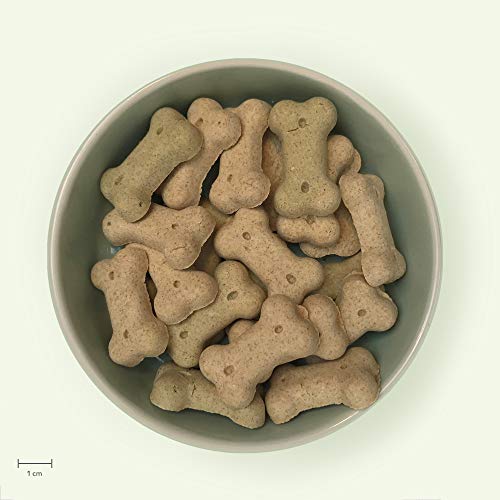 Yarrah Perro Pequeño Galletas Veganas Caja, Bio 1 Unidad 250 g