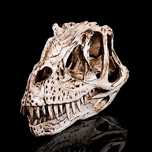 YGZS Decoración de la pecera Esquina Nariz quilla Resina artesanía Calavera Personalidad Dinosaurio Esqueleto 20 cm * 11 cm * 8 cm