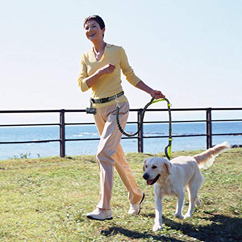 Yisatann Correa De Perro Correa para Perro Manos Libres Correa Retráctil con Correa Elástica Reflexivo para Correr Caminar hasta 150 LB Dispensador De Bolsas Gratis para Perros Grandes Verde