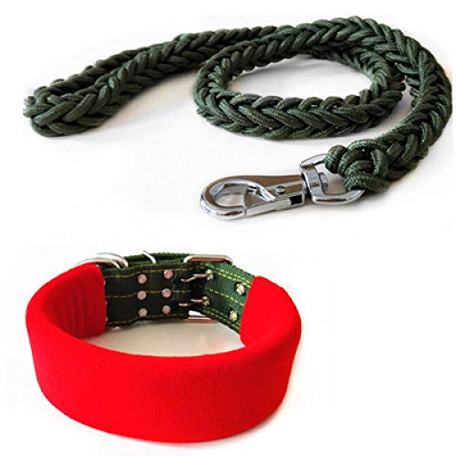 Yisatann Correa para Perros Collar para Collar de Perro Mascota Correa Collar de Perro Cuerda de Correa, Perro Grande para Caminar, Ajuste de Entrenamiento Set-M