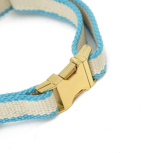 Yisatann Set de Correa Perro Correa de Collar de Perro Suministros para Mascotas Cuerda de Correa de Perro Cuerda de Perro para Caminar Rosa Perros Grandes medianos pequeños-1.5 * 120