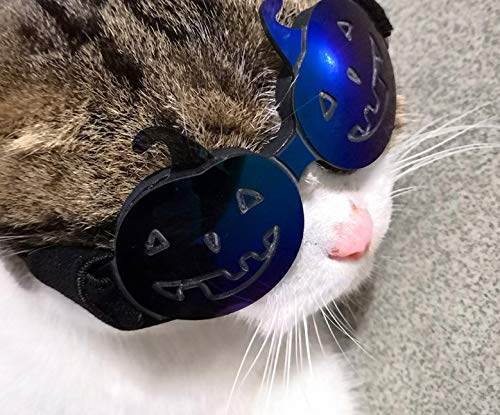 Yonfan - Gafas de Sol de Calabaza para Perro, Gato, Disfraz, para Fiestas, Carnaval, Halloween, protección UV, protección para los Ojos para Perros pequeños y medianos, Gatos, Cachorros, Gatitos