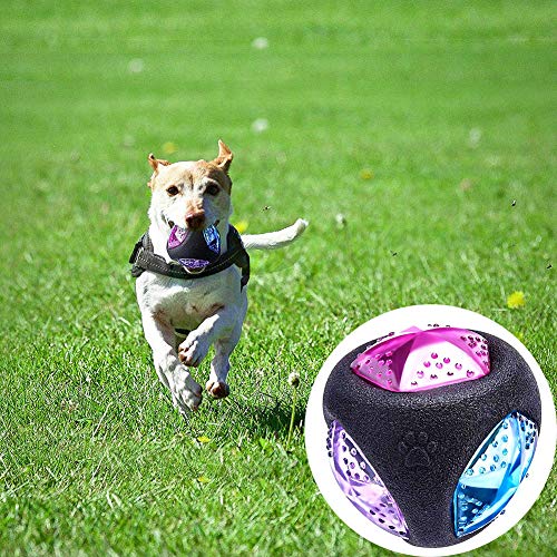 YOUNICER Pelotas para Perros Flash LED Squeaker Ball Juguete para Perros Bola interactiva para Perros Bola de Perros Que Brilla intensamente activada por Rebote