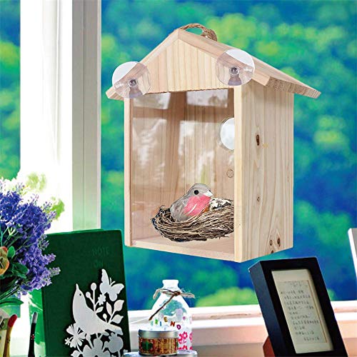 YSYDE 2PCS Bird House Feeder, Ventana Visible Diseño de una Cara Colgante Nido de pájaro Observación fácil con Ventosa Suministros de decoración de jardín