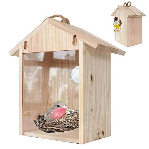 YSYDE 2PCS Bird House Feeder, Ventana Visible Diseño de una Cara Colgante Nido de pájaro Observación fácil con Ventosa Suministros de decoración de jardín